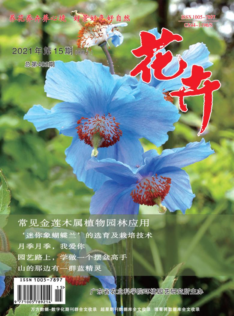 花卉杂志
