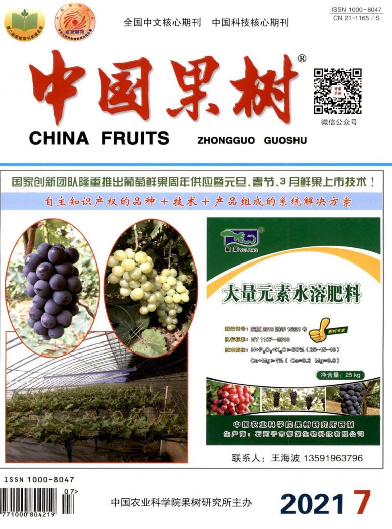中国果树杂志