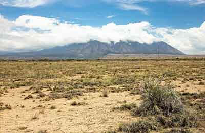 重金属污染现状及其治理