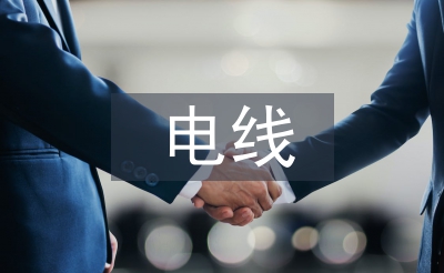 电线调查报告
