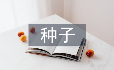 中小型种子企业财务风险管理探析