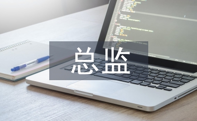 人力资源总监工作总结