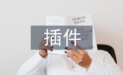 计算机软件技术中插件技术与分层技术的运用