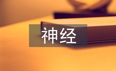 神经外科医生工作计划