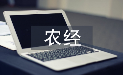 农经工作总结