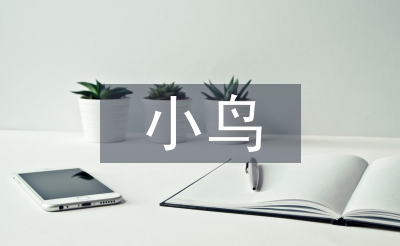 小鸟教案