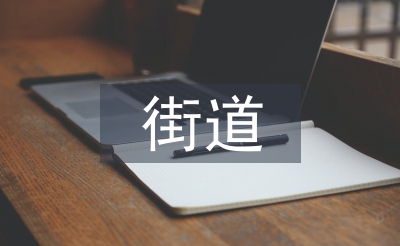 街道办主任工作计划