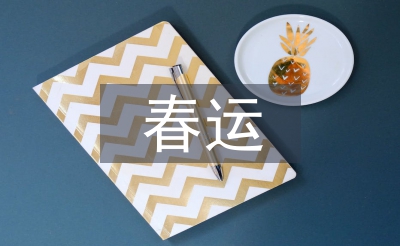 春运交通安全总结