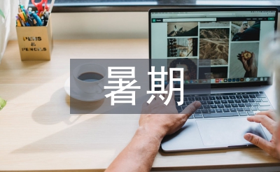 大学生暑期实习报告