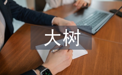 野生香樟大树的移栽与养护