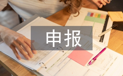 申报人才工作计划