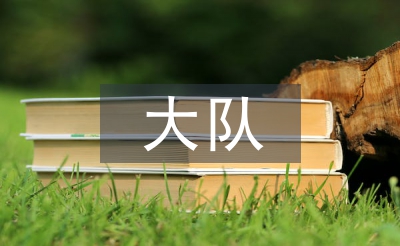 大队辅导员述职报告