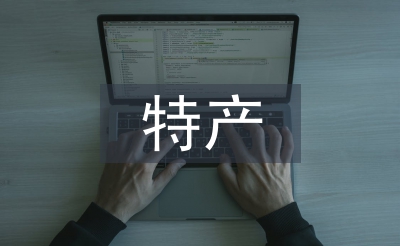 电子商务特产销售系统技术分析