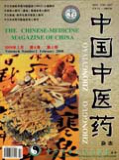 中国中医药论文