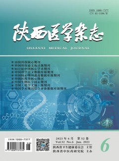 陕西医学杂志