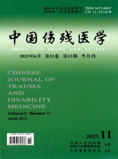 中国伤残医学杂志