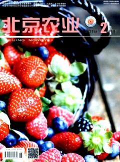 北京农业论文
