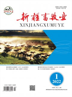 新疆畜牧业杂志