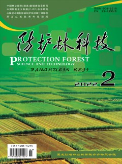 防护林科技杂志