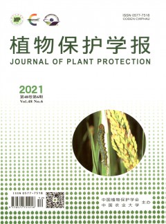植物保护学报杂志