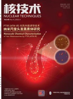 核技术杂志