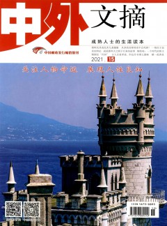 中外文摘杂志