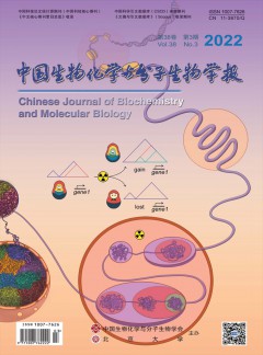 中国生物化学与分子生物学报论文