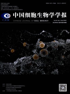 中国细胞生物学学报杂志
