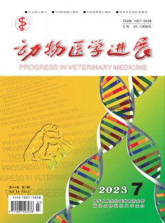 动物医学进展杂志
