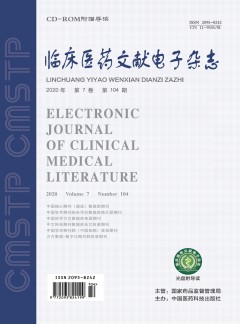 临床医药文献杂志