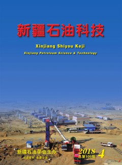 新疆石油科技论文