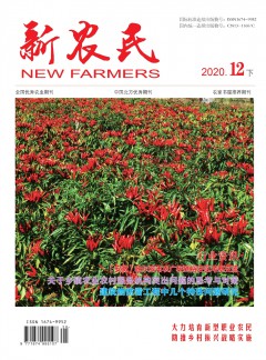中国农民企业家杂志