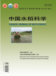 中国水稻科学杂志