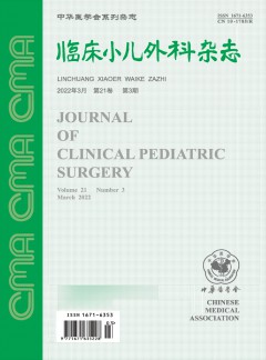 临床小儿外科杂志