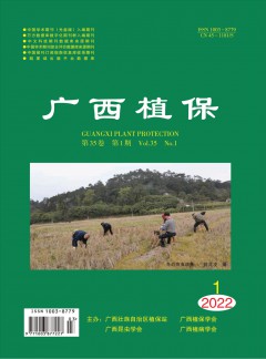 广西植保杂志