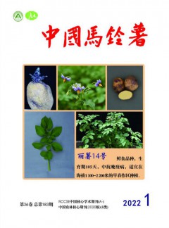 中国马铃薯杂志