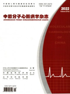 中国分子心脏病学论文