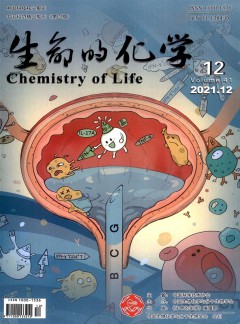 生命的化学杂志