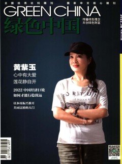 绿色中国杂志