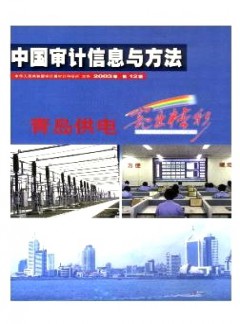 中国审计信息与方法杂志