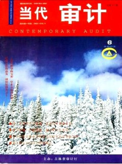 当代审计论文