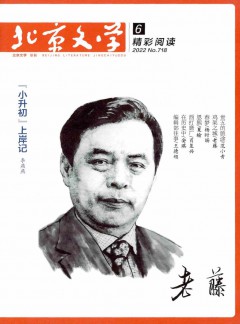 北京文学·精彩阅读杂志