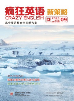 疯狂英语·新策略杂志