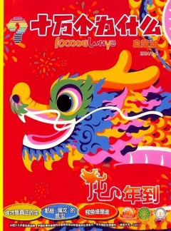 十万个为什么杂志