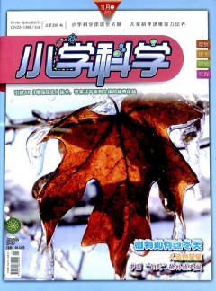 小学科学杂志