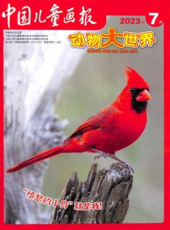动物大世界杂志