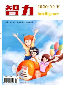 智力杂志