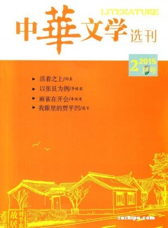 中华文学选刊杂志