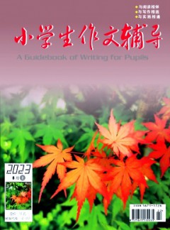 小学生作文辅导杂志