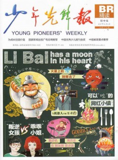 少年先锋报杂志